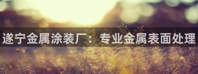 美高梅酒店年卡