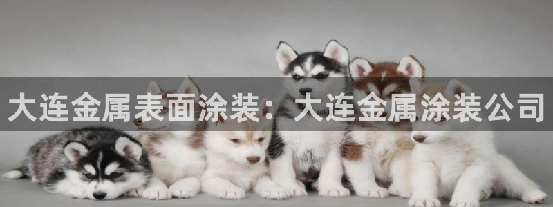 美高梅酒店客房服务员工资