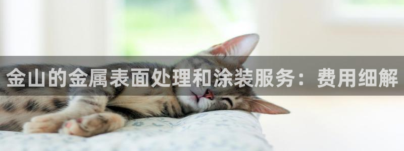 美高梅控股有限公司是国企吗
