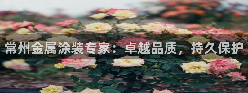 美高梅是个什么公司
