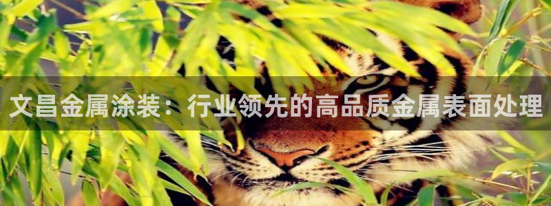 三亚美高梅酒店是哪个集团