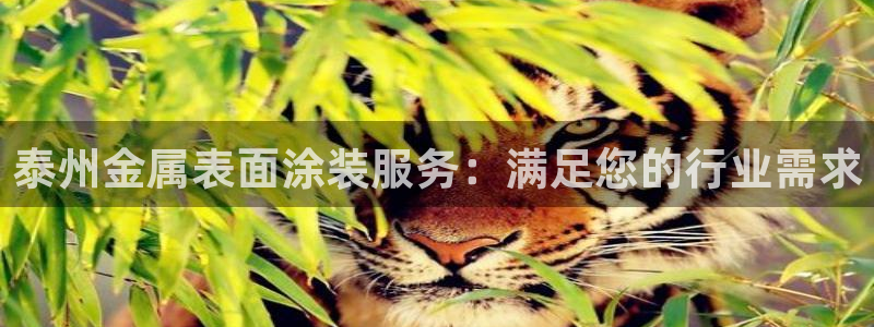 美高梅水疗怎么样