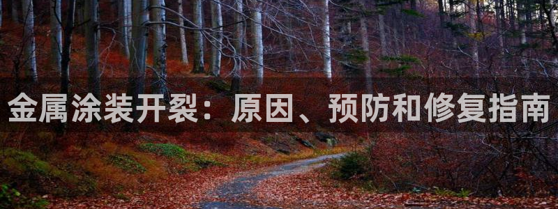 美高梅会员等级怎么看