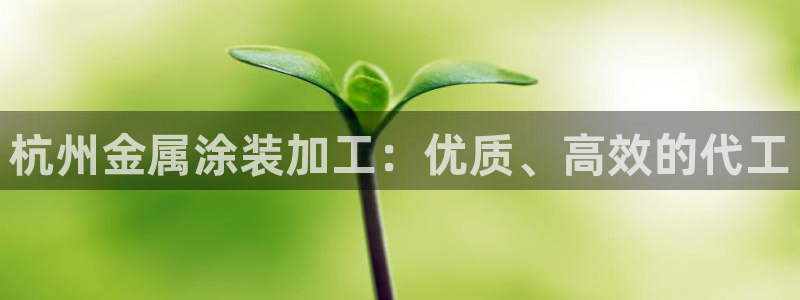 美高梅酒店用的什么洗发水