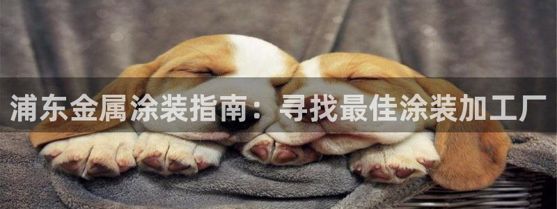 美高梅中国股吧