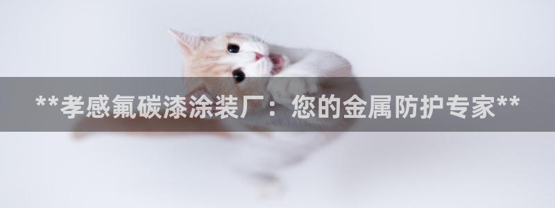 美高梅名字的由来