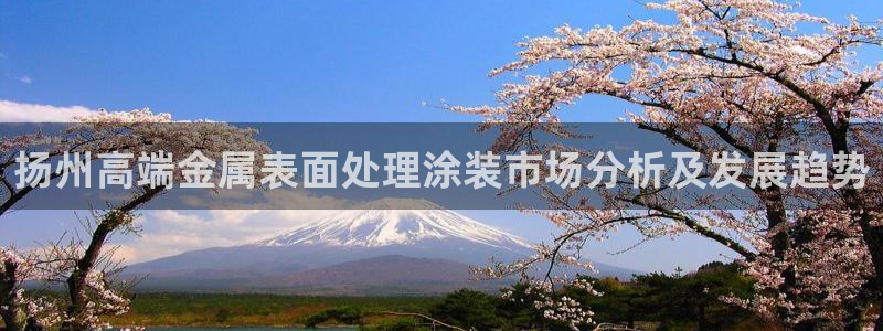 美高梅国际酒店集团位于美国哪个城市