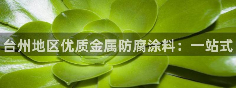 美高梅是何超琼开的吗知乎