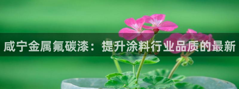 美高梅会员卡等级