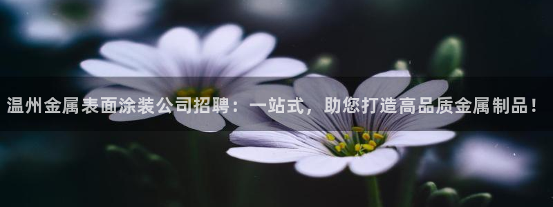 美高梅尊贵卡值多少钱