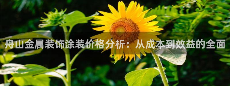 美高梅酒店澳门是总部吗还是分部