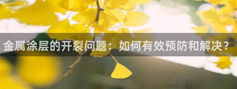 美高梅酒店发展历史