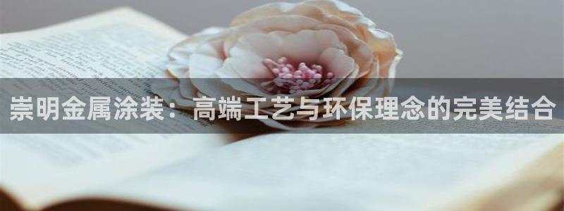 美高梅筹码图片高清