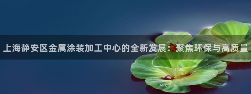 美高梅酒店名字的寓意