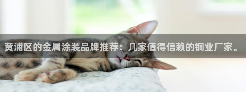 美高梅酒店app官网下载