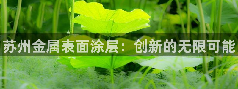 美高梅卡颜色等级