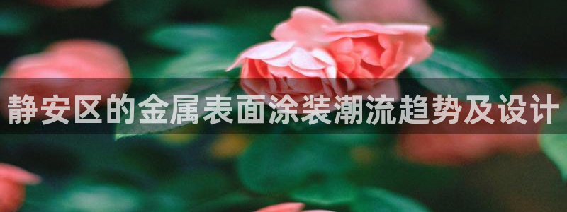 美狮美高梅酒店在哪