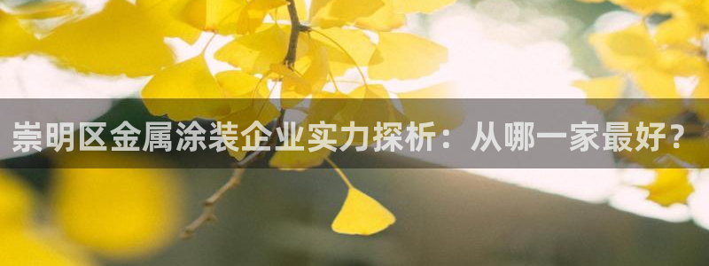 美高梅别墅可以买吗