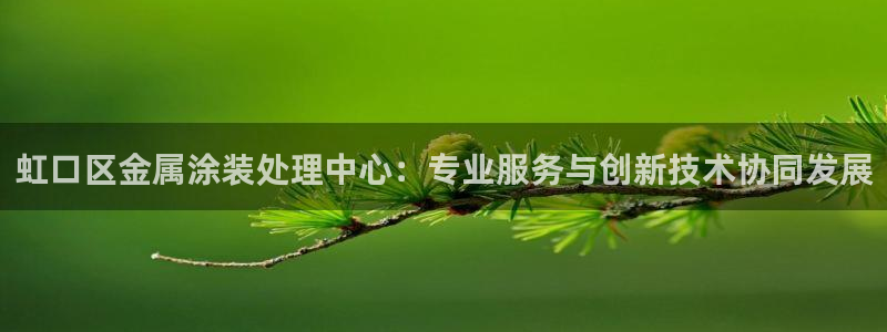 美高梅酒店何超琼