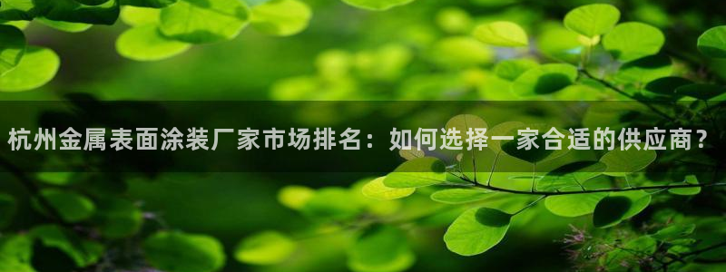 美高梅是谁的股东