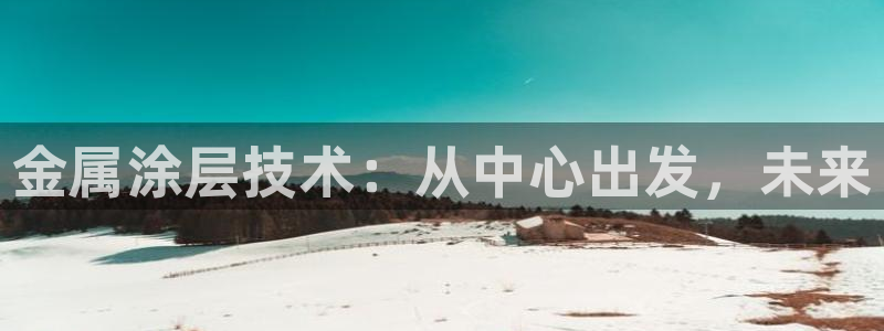 美高梅狮王卡值多少钱
