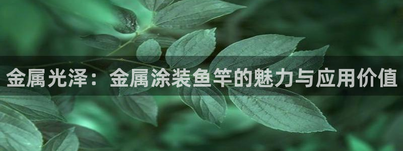 美高梅儿童托管怎么样啊