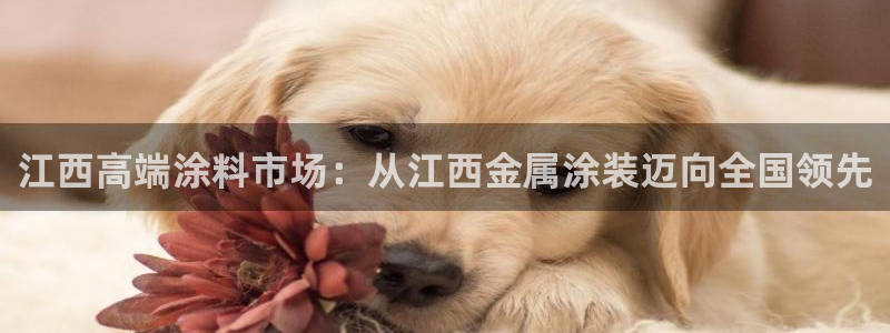 美高梅酒店品牌