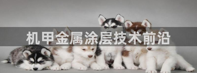 美狮美高梅酒店房间数量