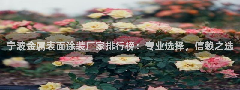 美高梅会员卡好用不