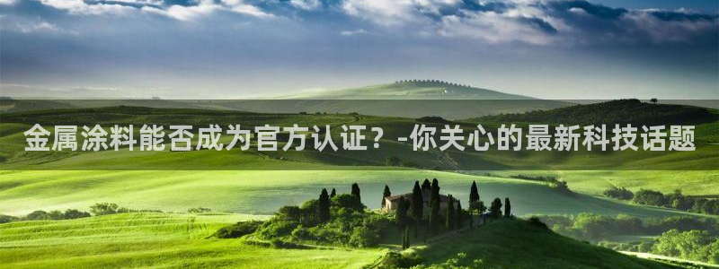 美高梅天幕广场表演
