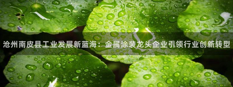 美高梅会员卡级别：沧州南皮县工业发展新蓝