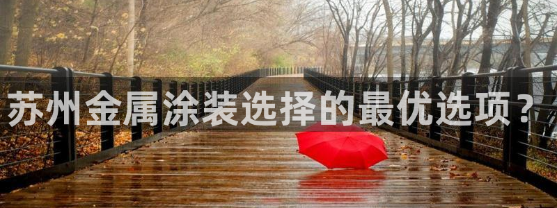 美高梅A p p怎么升级：苏州金属涂装选