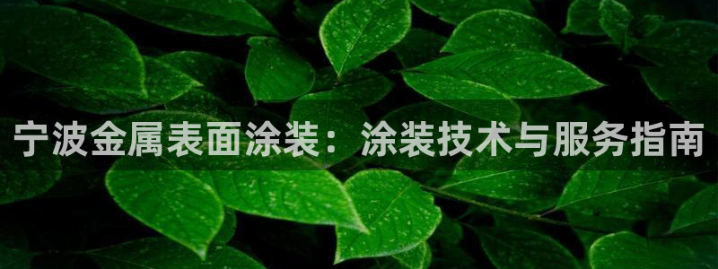 美高梅酒店停车收费吗