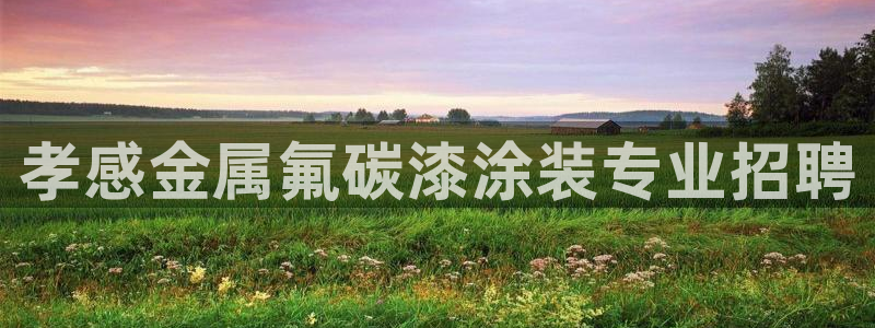 美高梅公司简介怎么写