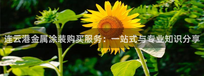 美高梅酒店房间